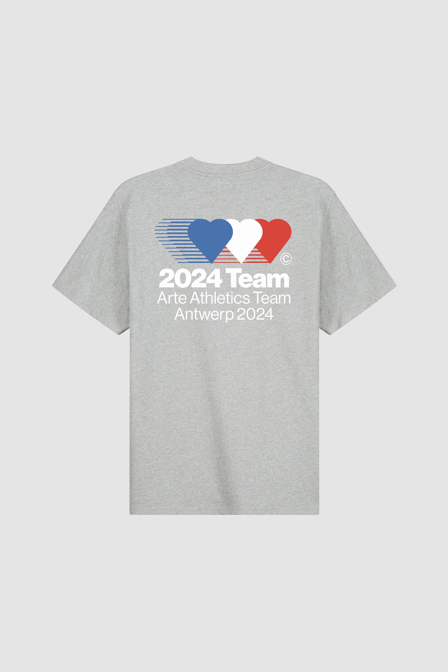 Teo Back Team T-shirt - Gris